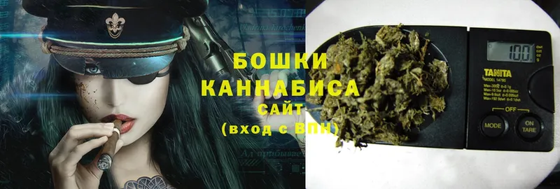 Бошки марихуана Amnesia  Бодайбо 